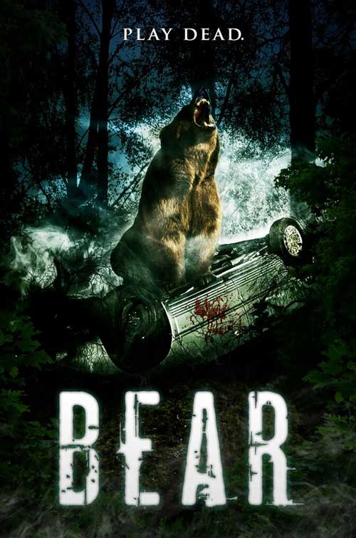 Bear Poster